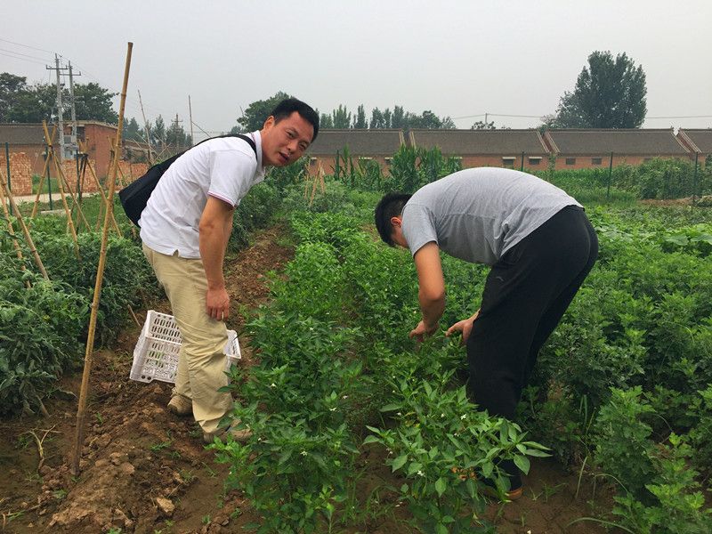 好利來郭總喊您來摘菜啦！綠色無公害，放心！